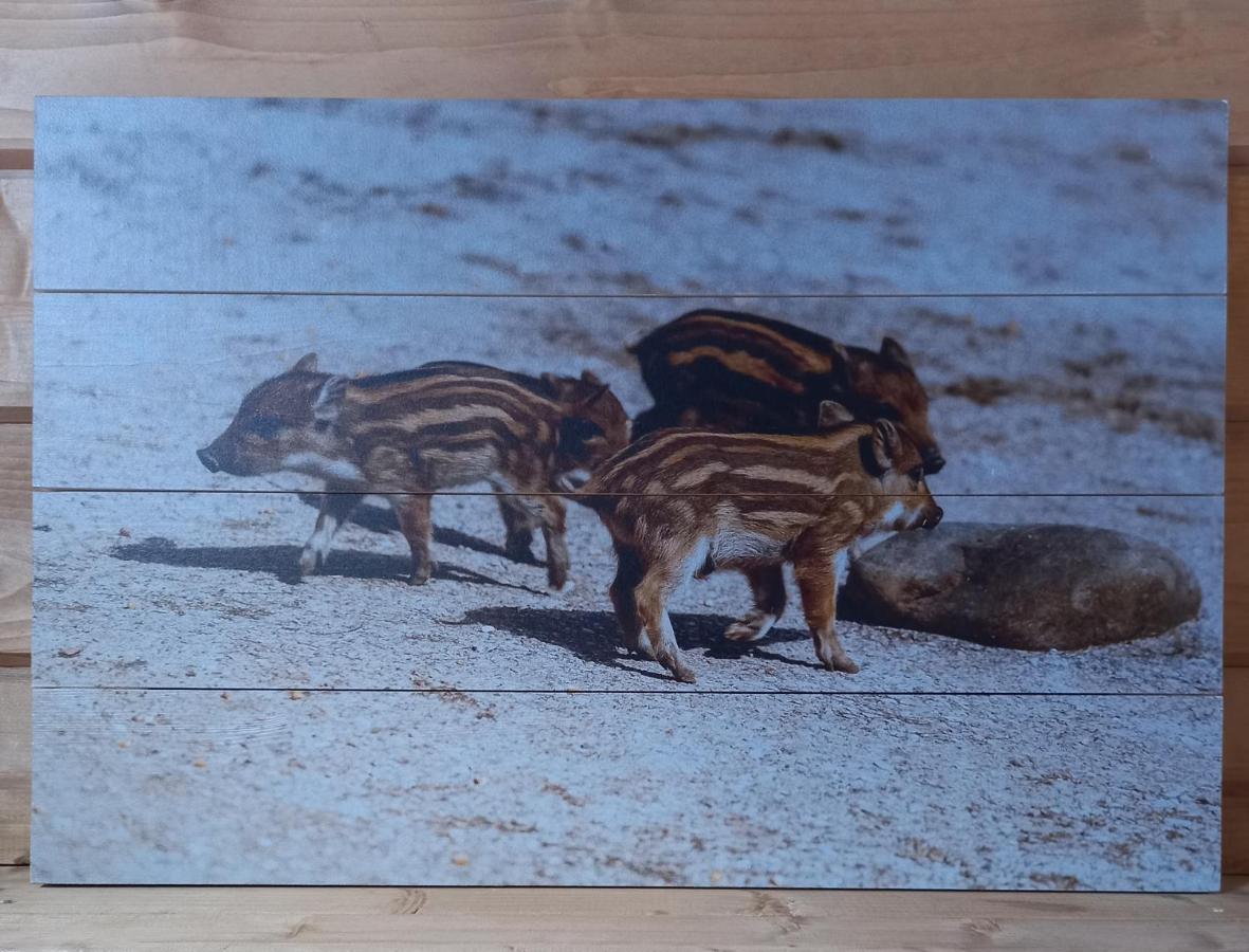 'T Zwientje Ermelo Extérieur photo
