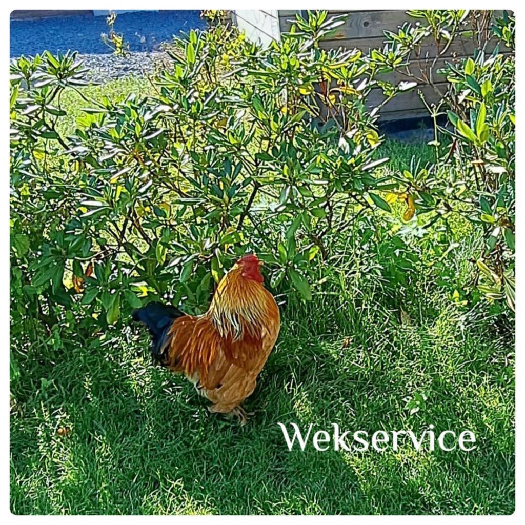 'T Zwientje Ermelo Extérieur photo
